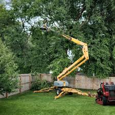 Best Lawn Maintenance Plans  in Northfield, NJ